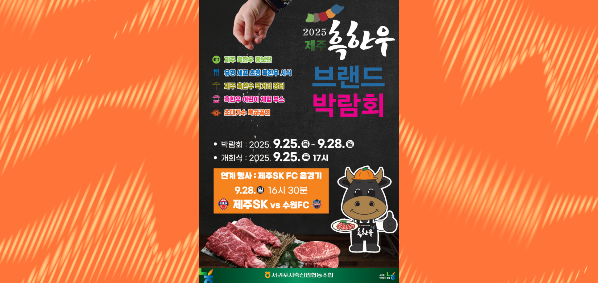 제주유나이티드 홈경기